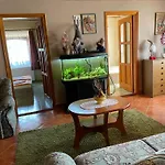 Pacsirta Tiszaderzs