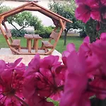 Apartman Pacsirta